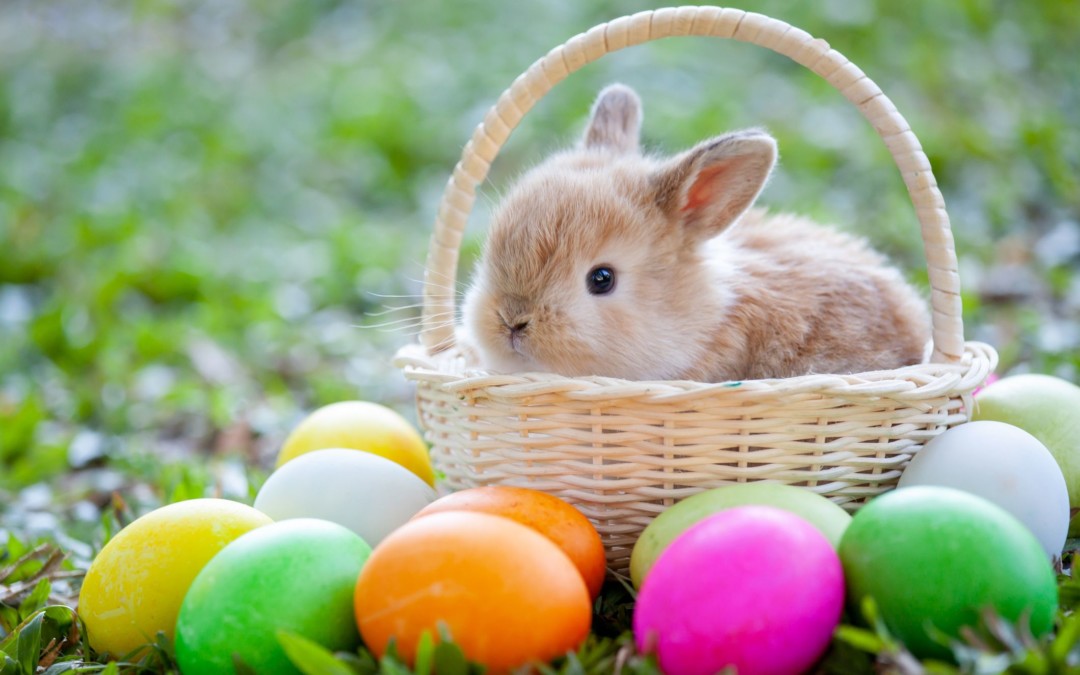 Easter Set List