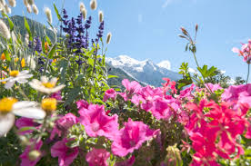 Spring Has Sprung