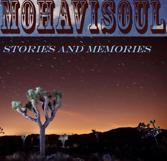 Brenda reviews Mohavisoul: Stories and Memories