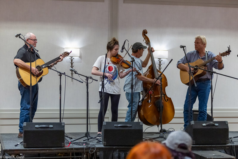 Four musicians perform on stage with guitars, a fiddle, and an upright bass.