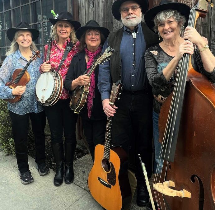 Sidesaddle & Co
