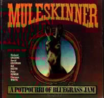 Non-traditional Bluegrass