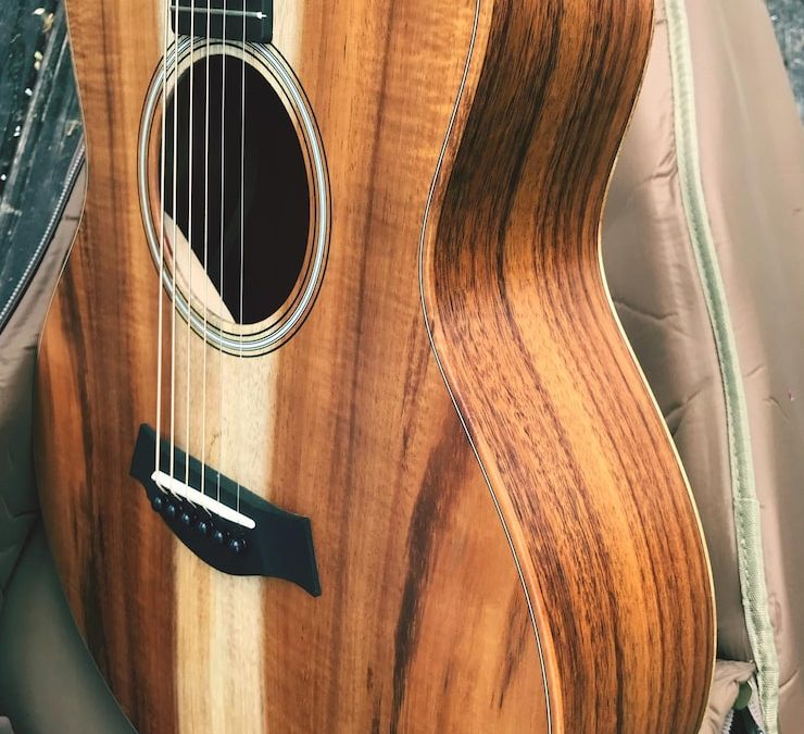 Wildlife Protection Laws and Treaties for Luthiers (part 2)