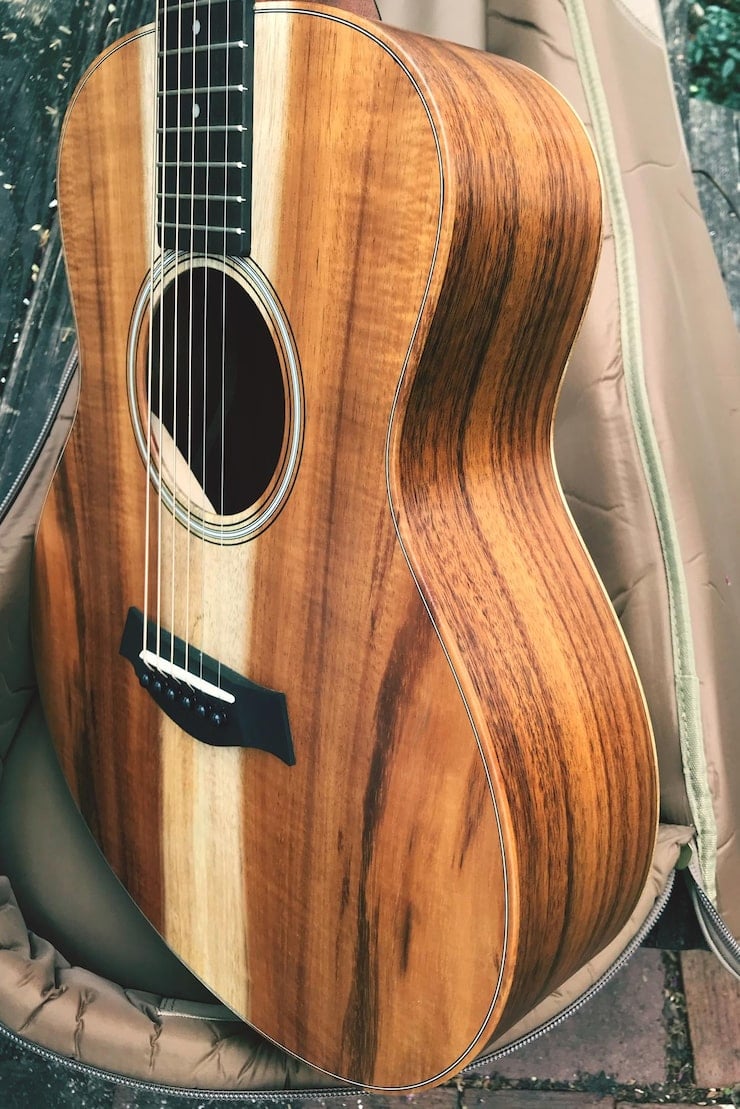 An acoustic guitar with a natural wood finish rests in an open padded case on an outdoor surface, capturing the harmony between music and wildlife protection.