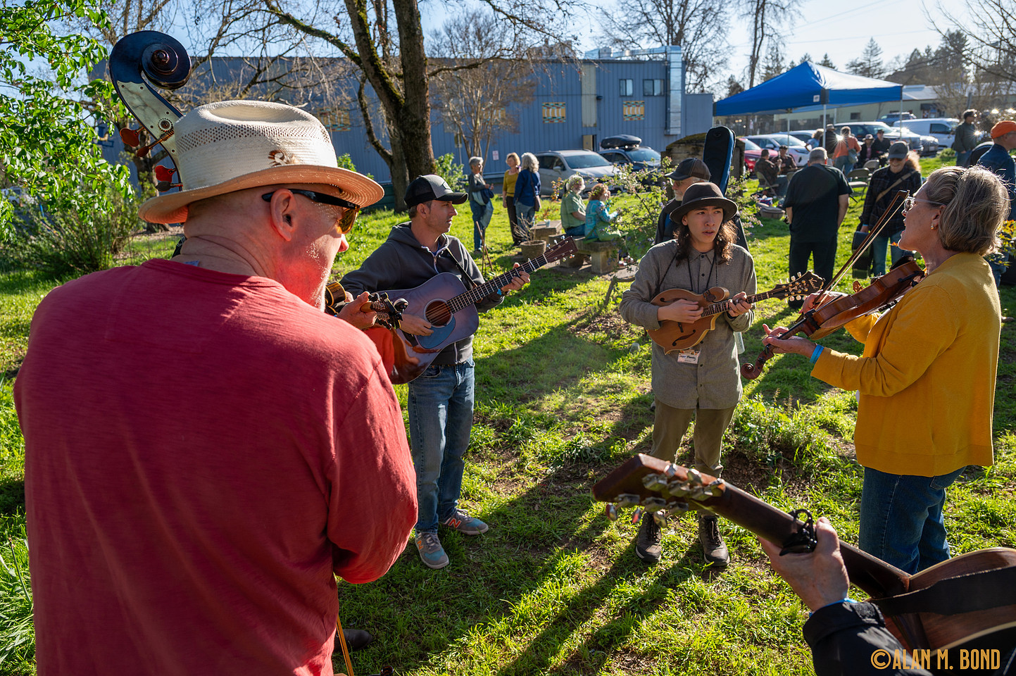 A group of people play string instruments together outdoors on a sunny day, with others gathered in the background.