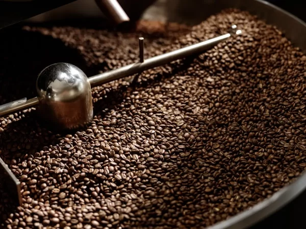 A close-up of roasted coffee beans inside a large metal roasting drum with a metal rod and temperature probe.