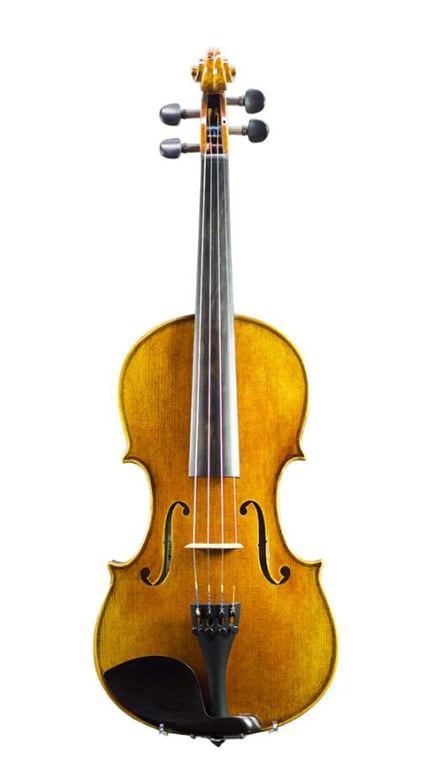 A full view of a classical wooden violin with four strings, tuning pegs, and a chin rest, positioned vertically on a white background.