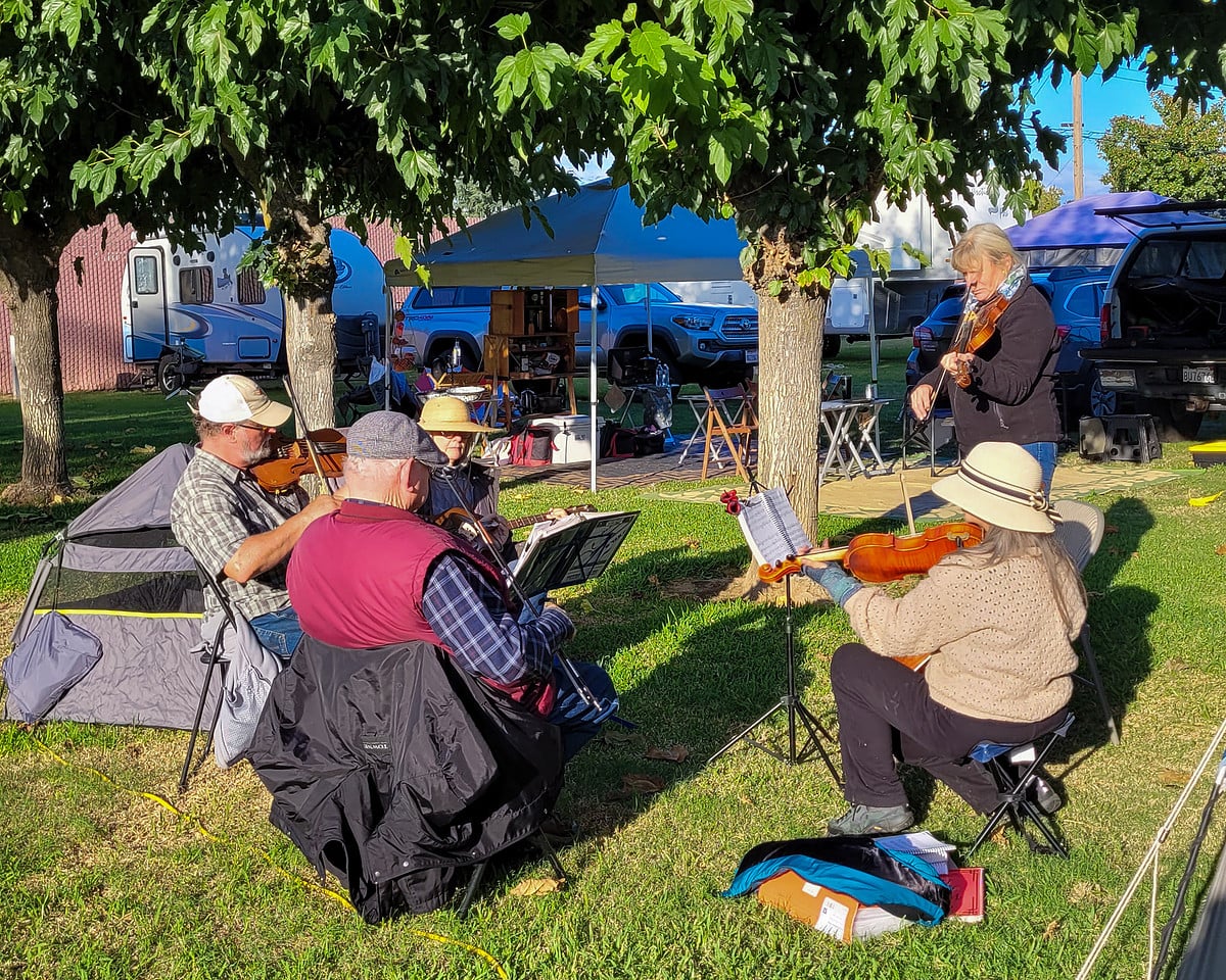 Four musicians play violins while seated on folding chairs under a canopy of trees at a campsite.